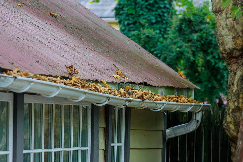 Verstopfte Dachrinne mit Laub führt dazu, dass die Dachrinne wegen dem Gewicht durchhängt. Dringend eine Dachrinnenreinigung durchführen.